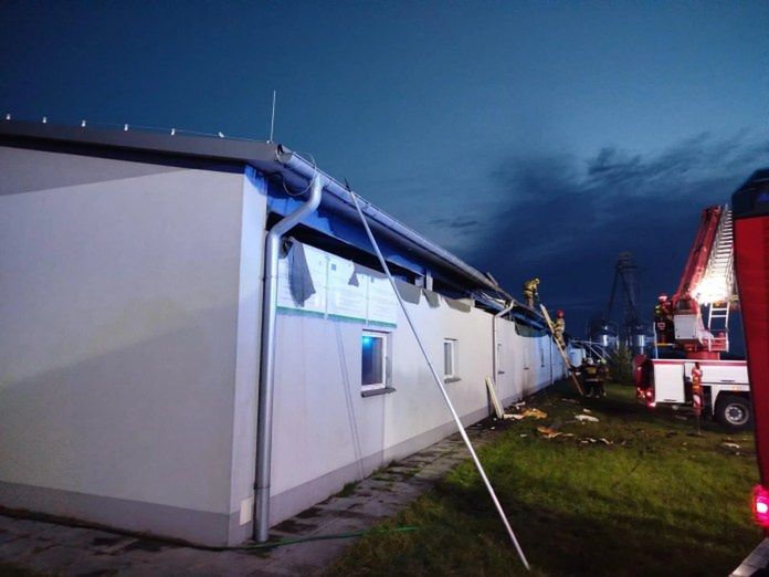 Koszmar na gospodarstwie. Pożar zniszczył chlewnię i zabił setki zwierząt