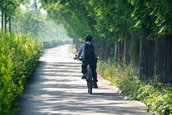 Rzucamy trochę światła na obowiązkowe wyposażenie roweru. Nie zaniedbaj tego, bo mandat może być słony