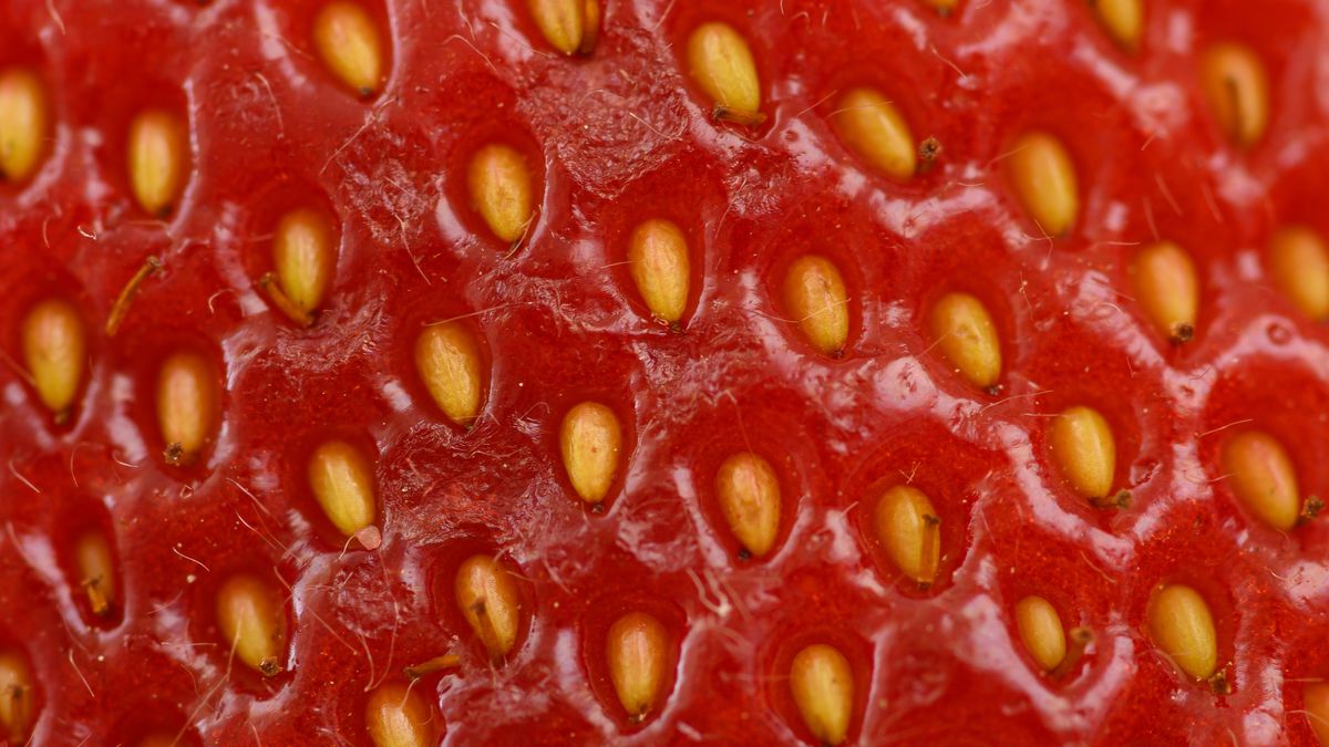 Truskawki wspierają odchudzanie