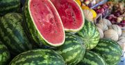 Polskie arbuzy podbijają rynek. Uprawy coraz popularniejsze