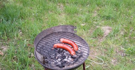 Przyłapani zapłacą do 5000 zł. Zakazane podczas grillowania