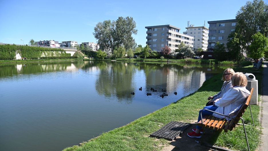 Staw Jeziorzec w Warszawie