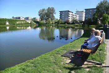 Warszawa: Nie każdy o nim wie. Malowniczy staw ukryty między blokowiskami