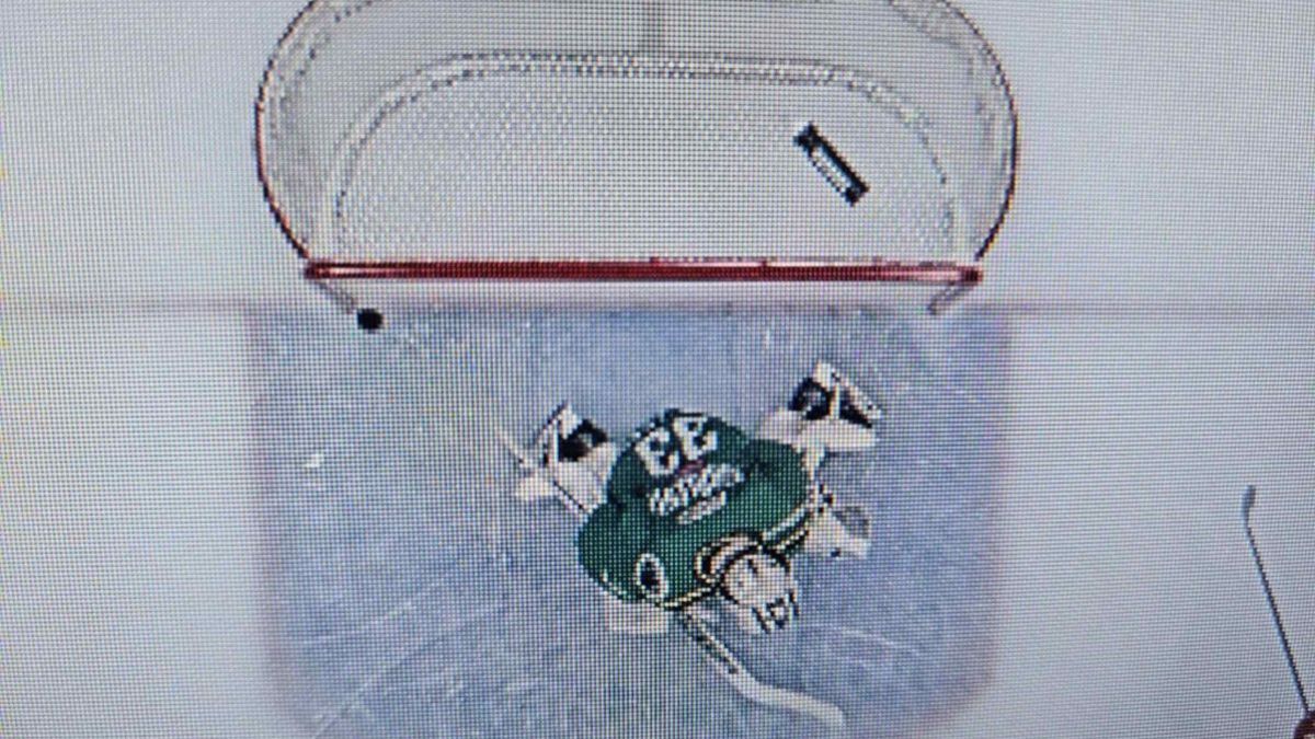 Hokej. To jednak sędzia Baca miał rację. Gratulujemy świetnego oka