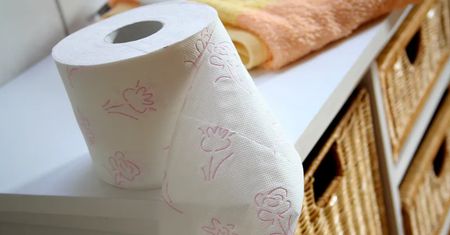 Spryskaj rolkę papieru. Patent za grosze odmienia łazienkę