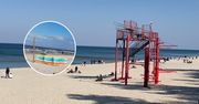 Pojawiły się na plażach. To pierwsza oznaka końca zimy