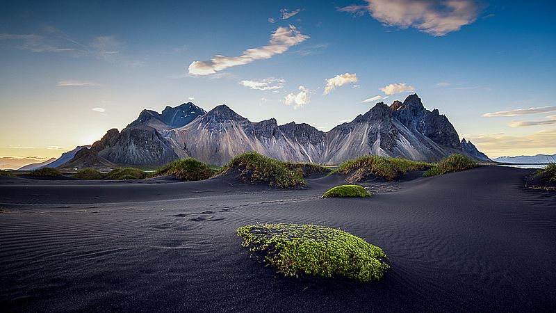 Znamy zwycięzców konkursu International Garden Photographer of the Year 2016 11