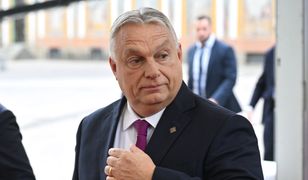 Coraz goręcej przed wyborami. Rząd Orbana oskarża Ukrainę o ingerencję