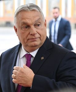 Coraz goręcej przed wyborami. Rząd Orbana oskarża Ukrainę o ingerencję