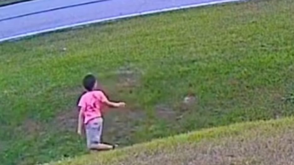 6-latek został zaatakowany przez psa sąsiadów. W ostatniej chwili uratował go owczarek