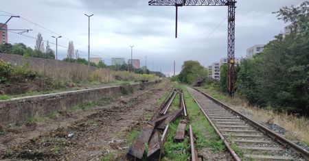 Kontrowersje wokół linii 201. Twierdzą, że inwestycja wpłynie na przyrodę