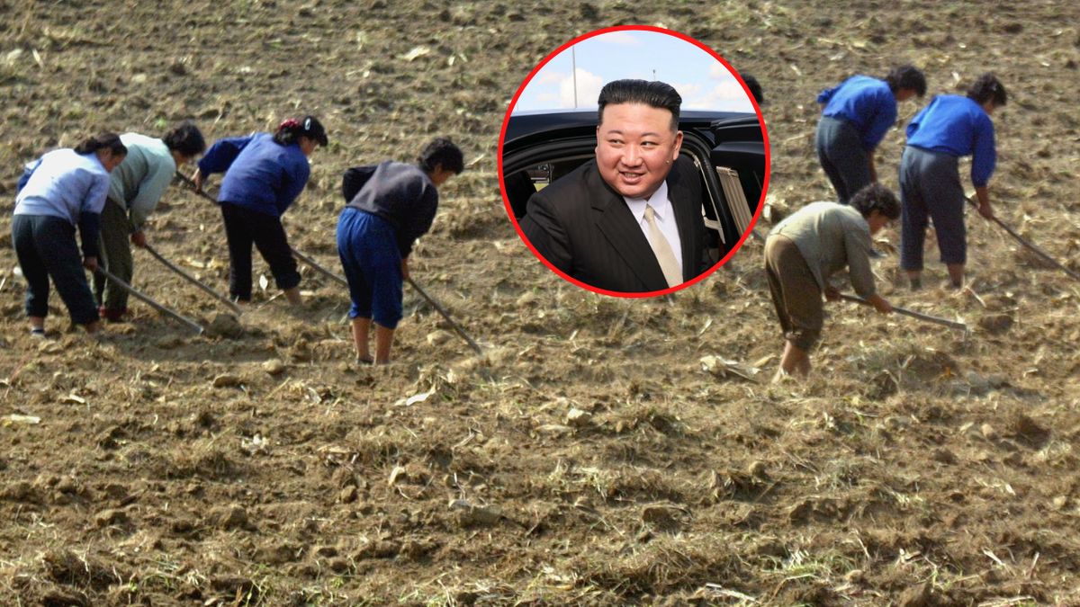 Samochód od Putina wzburzył Koreańczyków