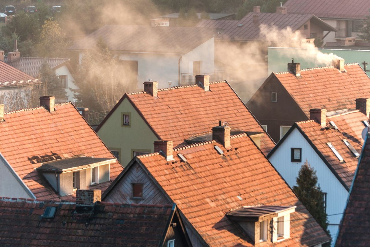 Budynki z bloczkami z konopi. Polscy naukowcy opracowali nowość