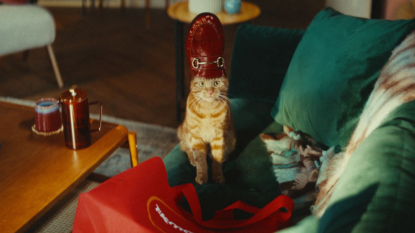 Kotka Cat bohaterką kampanii TK Maxx