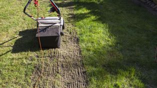 Trawnik po zimie w fatalnym stanie? Ten zabieg robią teraz profesjonaliści