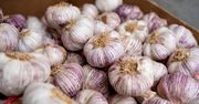 Tylko tak czosnek przeleży całą zimę. Nie pleśnieje i zachowa najlepszy smak