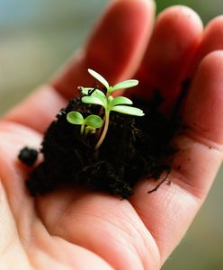 Dzień Ziemi 2020 w tle suszy, pożaru w Biebrzańskim Parku Narodowym i pandemii koronawirusa