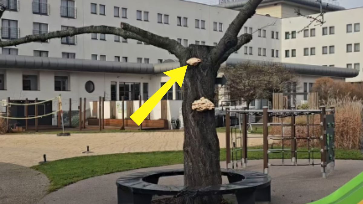 Aż zaczął nagrywać. "Hit sezonu"