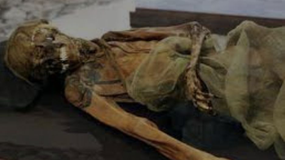 Księżniczka z Ukok musiała być bardzo ważną kobietą dla swojej społeczności. Naukowcy nie widzą, czy była władczynią, czy szamanką. Wiadomo natomiast, że była zamożna, paliła marihuanę i chorowała na raka (Wikimedia Commons)