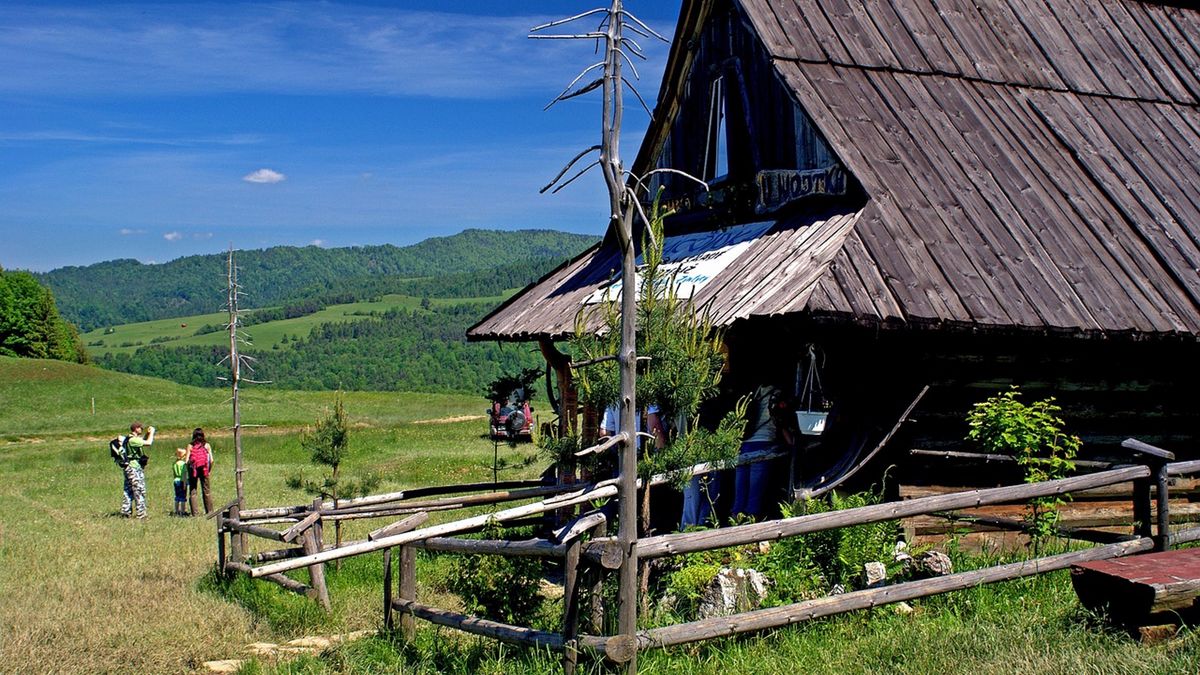 Zdjęcie ilustracyjne.