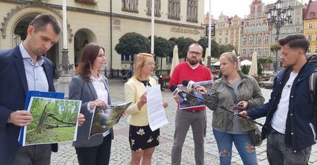 Wrocław. Las Pilczycki zaledwie 8 kilometrów od centrum. Chrońmy skarb natury