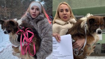 Marianna Schreiber zabrała psa z Sobolewa. "Musiał jeść ziemię"