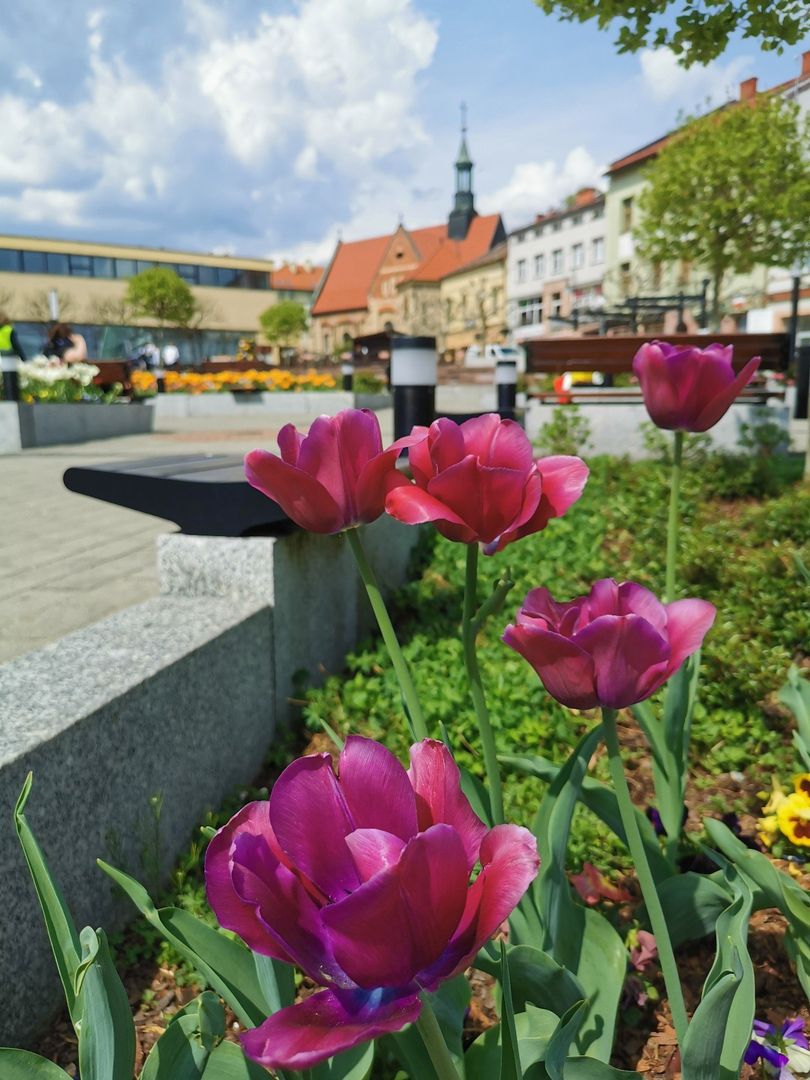 Rynek w Chrzanowie