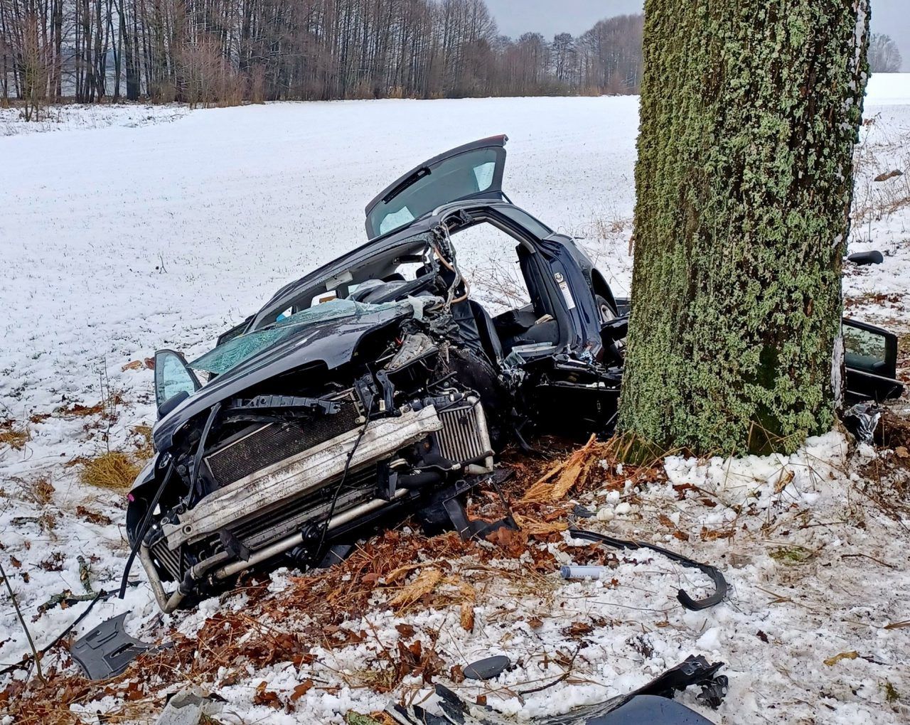 Audi roztrzaskało się na drzewie. Nie żyje 25-latka