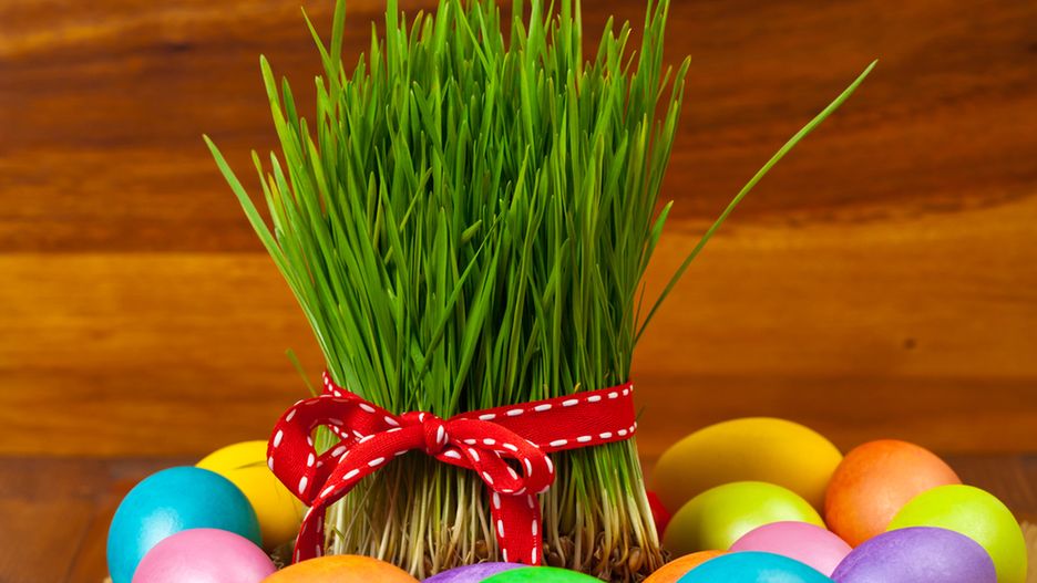 Jajka we wszystkich kolorach tęczy, barwione naturalnymi składnikami