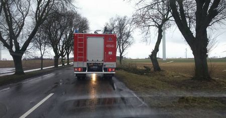 Konar drzewa zatarasował drogę