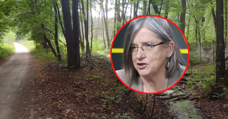 Jak przywrócić las? Ekspertka mówi o najprostszym sposobie