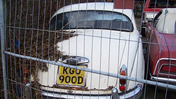 Cmentarz samochodów w Kędzierzynie-Koźlu (fot. notlauf, zlomnik.pl)