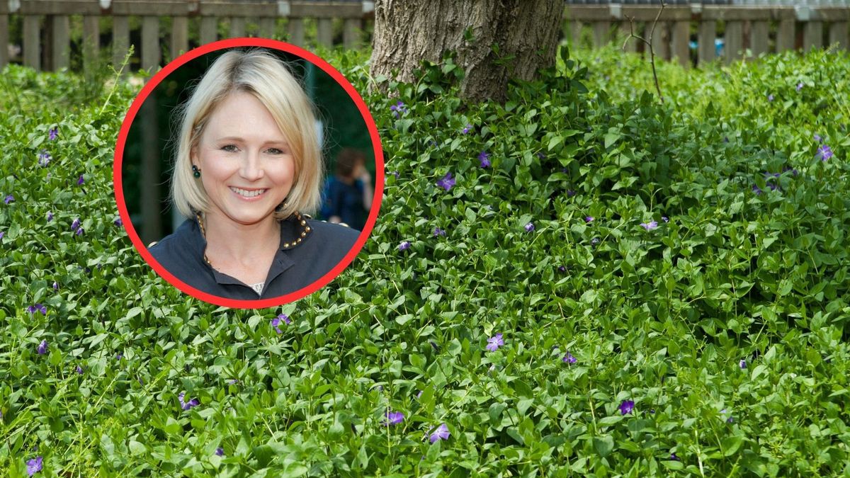 Maja Popielarska radzi, co zasiać zamiast trawy