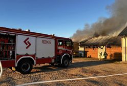 Tragedia na Pomorzu. Makabryczne odkrycie strażaków