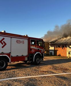 Tragedia na Pomorzu. Makabryczne odkrycie strażaków