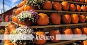 Gnojno: Gminny Festiwal Dyni. Jesienne smaki i rodzinne atrakcje