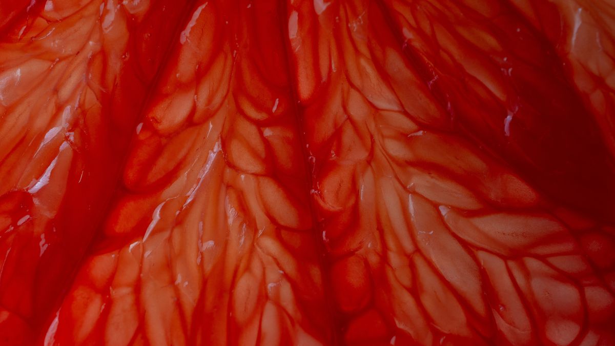 Dlaczego warto jeść czerwone cytrusy?