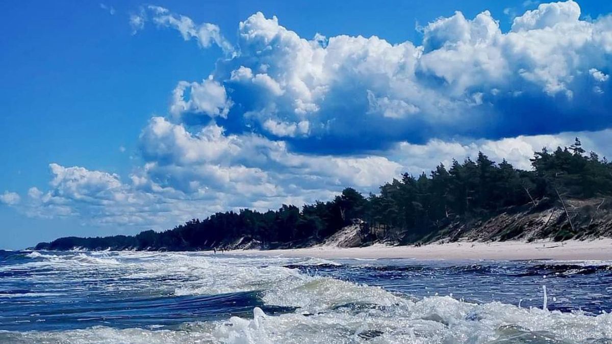 Mieszkańcy Helu alarmują. Las pod piłę pod budowę hotelu