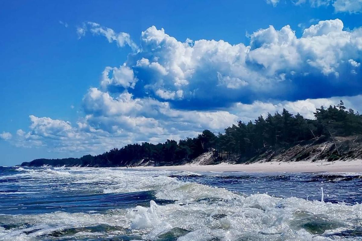 Stanie tu hotel. 80 proc. lasu na Helu do wycinki. Mieszkańcy protestują