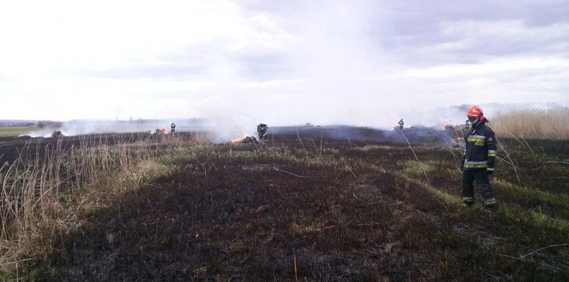 Pożar traw w Ciszewie