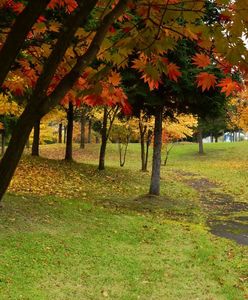 Pogoda. Wrocław. 13 września - zmiana w prognozach. Jesień nie tak wcześnie?