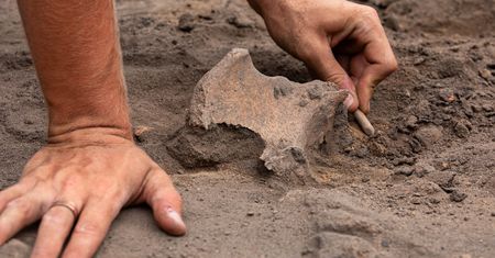 Niewiarygodne znalezisko na Mazowszu. Przeleżało wiek pod warstwą ziemi