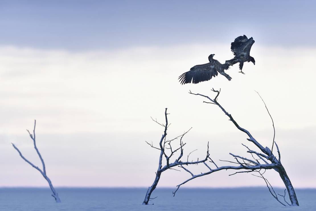 Znamy zwycięzców 12. Wielkiego Konkursu Fotograficznego magazynu National Geographic Polska 8