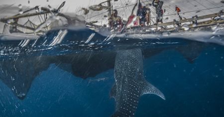 Konkurs Travel Photographer Asia 2016 to piękny przykład na połączenie dwóch pasji – fotografowania oraz podróży