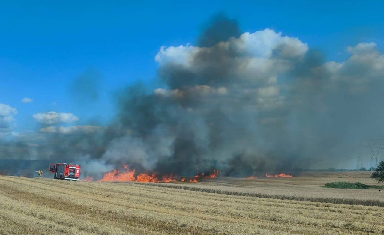 Pożar zboża i ścierniska koło Gorzowa. Spaliło się kilka hektarów