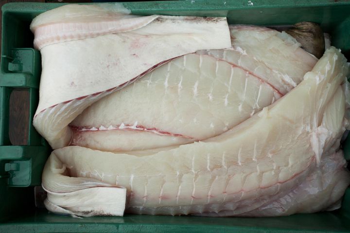 Halibut chroni przed rakiem okrężnicy i miażdżycą