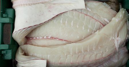 Antyrakowa ryba. Niestety Polacy prawie nie jedzą