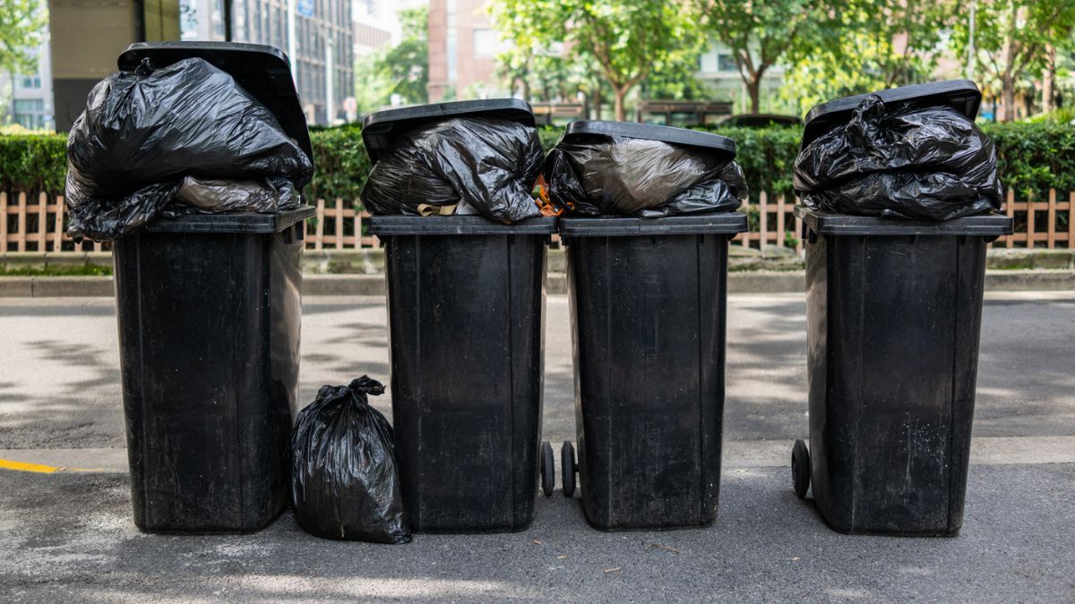 Niewłaściwe wyrzucanie elektrośmieci grozi mandatem 5 tys. zł