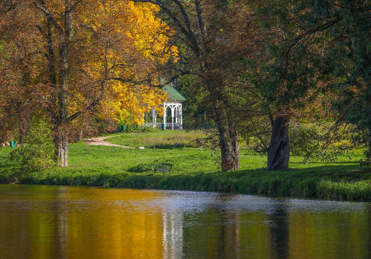 Widok na jeden ze stawów. Walory krajobrazowe ponad dwudziestodwuhektarowego parku typu angielskiego wzbogaca czterohektarowe lustro wody