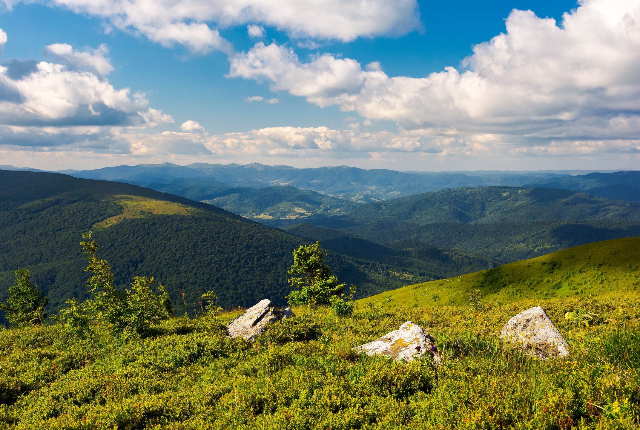 Bieszczady zachwycają na każdym kroku 